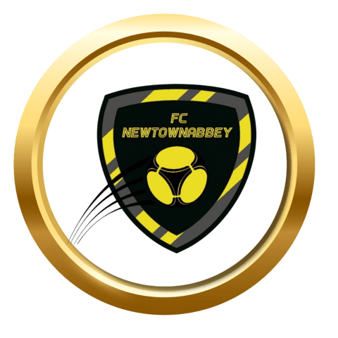 Newtownabbey Logo